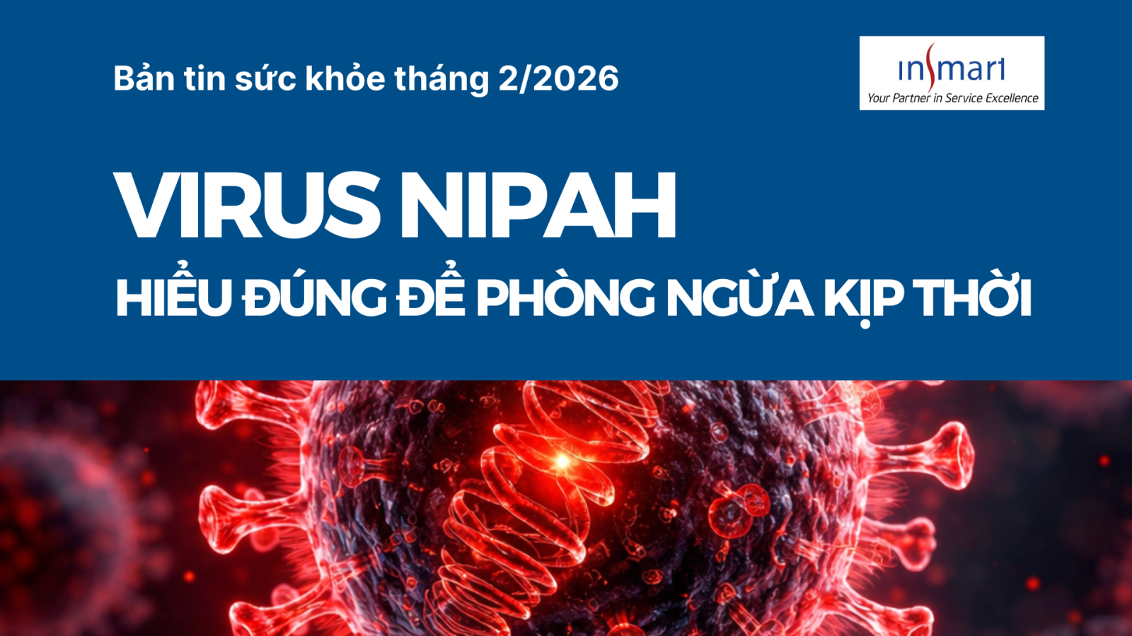 Bản tin sức khỏe Insmart – tháng 02/2026: Virus Nipah  – Hiểu đúng để phòng ngừa kịp thời
